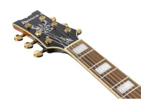 Ibanez JSM10EM-TTB John Scofield Ibanez JSM10EM-TTB John Scofield